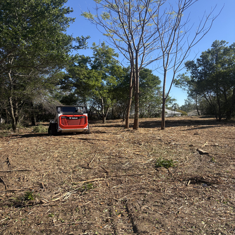 Just another WordPress site